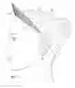Fig. 02 - FITTED TIARA