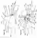 Fig. 76 - Single hand operated collapsing hanger