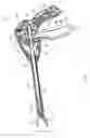 Fig. 09 - Cutting blades for bipolar surgical instruments