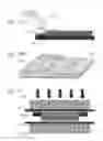 Fig. 06 - Methods of conditioning sheet bioprosthetic tissue
