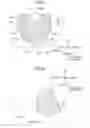 Fig. 05 - Scrotal sheet