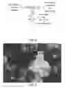Fig. 04 - Dry powder formation using a variably constrained, divided pathway for mixing fluid streams