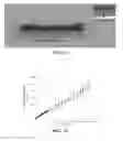 Fig. 08 - Fabrication methods for nanodelivery systems for long term controlled delivery of active pharmaceutical ingredients