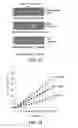 Fig. 09 - Fabrication methods for nanodelivery systems for long term controlled delivery of active pharmaceutical ingredients