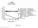 Fig. 13 - SHIKIMATE ANALOGUES AND METHODS OF USE