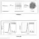 Fig. 06 - Branched multi-functional macromonomers and uses thereof