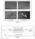Fig. 07 - Branched multi-functional macromonomers and uses thereof