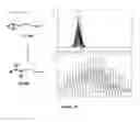 Fig. 37 - Branched multi-functional macromonomers and uses thereof