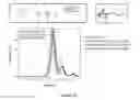 Fig. 44 - Branched multi-functional macromonomers and uses thereof