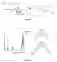Fig. 59 - Branched multi-functional macromonomers and uses thereof