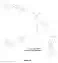 Fig. 61 - Branched multi-functional macromonomers and uses thereof