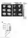 Fig. 02 - COMPOSITION COMPRISING DUAL IONIC PH-SENSITIVE COPOLYMER FOR DELIVERING SDF-1 TOPICALLY TO THE BRAIN AND USE THEREOF