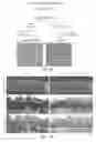 Fig. 02 - Hybrid System for Efficient Gene Delivery to Cells of the Inner Ear