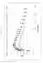 Fig. 08 - TAU PET IMAGING LIGANDS
