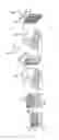 Fig. 02 - Polymer nanofiber scaffolds and uses thereof