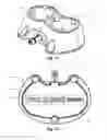 Fig. 07 - Resource information key for an insertable medical device