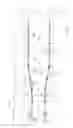 Fig. 02 - Stretching system
