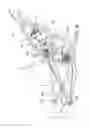 Fig. 08 - Vehicle suspension linkage