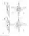 Fig. 02 - Modular aircraft