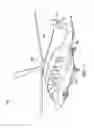 Fig. 02 - Rotor span-balance pocket