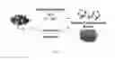 Fig. 08 - Method of producing soluble polyphosphides from red phosphorous using alkali metal compounds and organic solvents