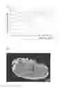 Fig. 02 - Method for manufacturing artificial graphite electrode
