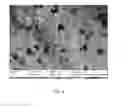 Fig. 04 - METHOD OF PRODUCING CONTROLLED MATERIAL PROPERTIES OF GLASS STRUCTURES MANUFACTURED FROM MICRON AND SUB-MICRON GLASS POWDERS AND APPLICATIONS THEREOF