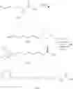 Fig. 35 - Fatty acid compound, preparation method therefor and use therefor
