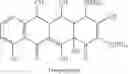 Fig. 06 - METHODS OF USING SUBSTITUTED TETRACYCLINE COMPOUNDS TO MODULATE RNA