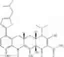 Fig. 1981 - METHODS OF USING SUBSTITUTED TETRACYCLINE COMPOUNDS TO MODULATE RNA