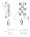 Fig. 06 - Homopiperazine-based catalysts for neutralization of organophosphorus-based compounds