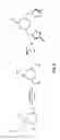 Fig. 08 - Homopiperazine-based catalysts for neutralization of organophosphorus-based compounds