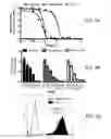 Fig. 06 - Itraconazole analogs and use thereof