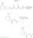 Fig. 09 - PROCESS FOR THE SYNTHESIS OF STABLE AMORPHOUS IBRUTINIB