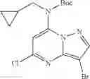 Fig. 69 - Pyrazolopyrimidine compounds