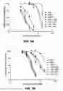 Fig. 07 - Triazole derivatives of melampomagnolide B and methods of use thereof