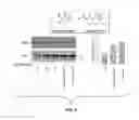 Fig. 08 - Compositions useful in therapy of autophagy-related pathologies, and methods of making and using the same