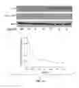 Fig. 09 - Compositions useful in therapy of autophagy-related pathologies, and methods of making and using the same