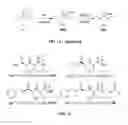 Fig. 11 - Compositions useful in therapy of autophagy-related pathologies, and methods of making and using the same