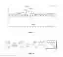Fig. 17 - Compositions useful in therapy of autophagy-related pathologies, and methods of making and using the same