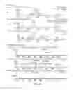 Fig. 19 - Compositions useful in therapy of autophagy-related pathologies, and methods of making and using the same