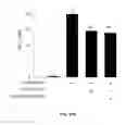 Fig. 31 - Compositions useful in therapy of autophagy-related pathologies, and methods of making and using the same