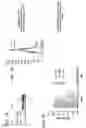 Fig. 07 - BIOPARTICLE ISOLATION AND THERAPEUTIC APPLICATION THEREOF