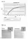 Fig. 09 - BIOPARTICLE ISOLATION AND THERAPEUTIC APPLICATION THEREOF