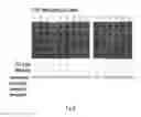 Fig. 09 - Compound for treating sequelae of ischemic cerebral stroke
