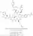 Fig. 623 - Somatostatin receptor antagonist compounds and methods of using the same