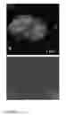 Fig. 06 - USE OF HUMAN DERIVED IMMUNOSUPPRESSIVE PROTEINS AND PEPTIDES AS MEDICAMENTS