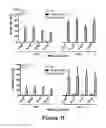 Fig. 08 - Isolated human mesenchymal stem cell expressing a bispecific antibody that binds CD33 and CD3 and method of using to treat cancer