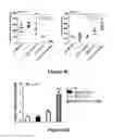 Fig. 14 - Isolated human mesenchymal stem cell expressing a bispecific antibody that binds CD33 and CD3 and method of using to treat cancer