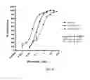 Fig. 75 - POLYPEPTIDES, ANTIBODY VARIABLE DOMAINS & ANTAGONISTS
